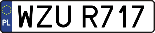 WZUR717