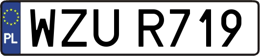 WZUR719