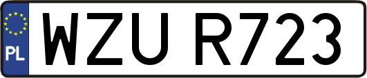 WZUR723