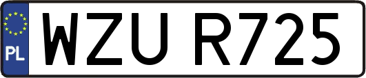 WZUR725