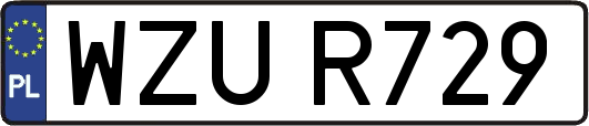 WZUR729
