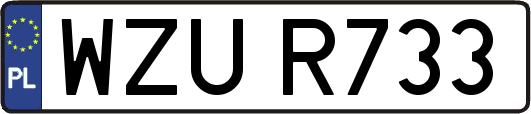 WZUR733