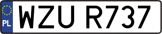 WZUR737