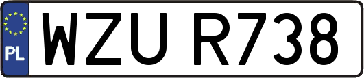 WZUR738