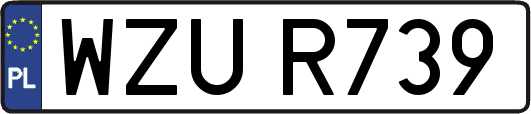 WZUR739