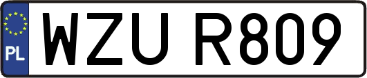WZUR809
