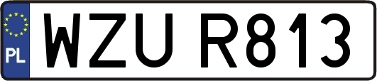 WZUR813