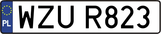 WZUR823