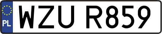 WZUR859