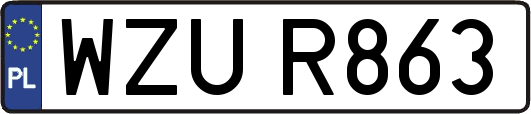 WZUR863