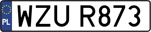 WZUR873