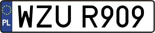 WZUR909
