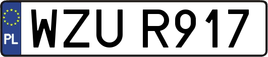WZUR917
