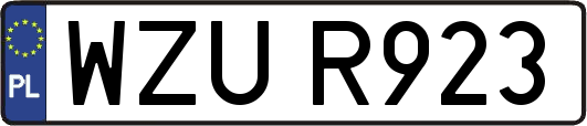 WZUR923