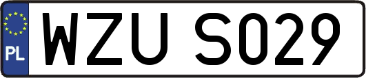 WZUS029