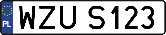 WZUS123