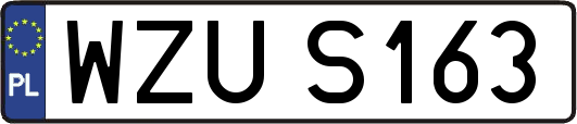 WZUS163