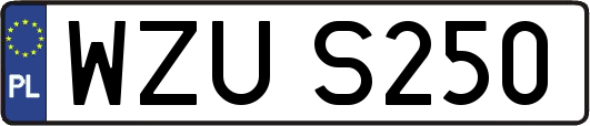 WZUS250