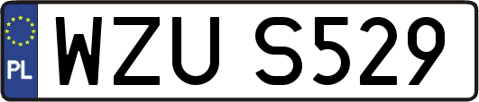 WZUS529
