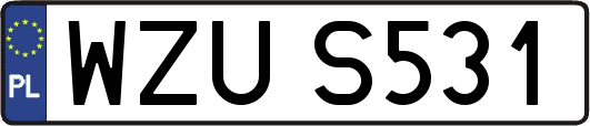 WZUS531
