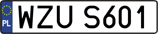 WZUS601