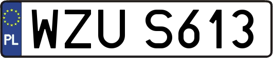 WZUS613