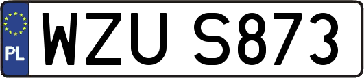 WZUS873
