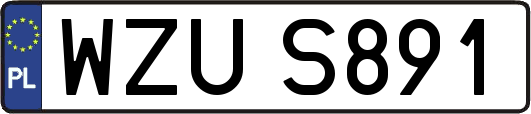 WZUS891