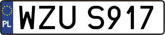 WZUS917