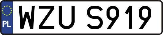 WZUS919