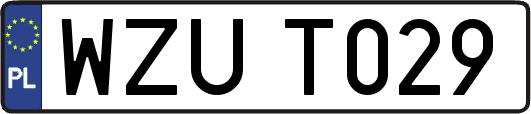 WZUT029