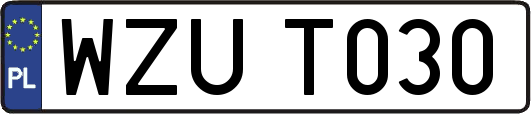WZUT030