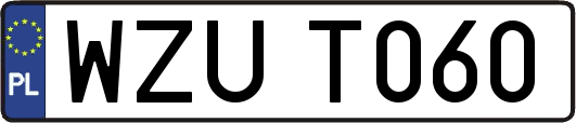 WZUT060