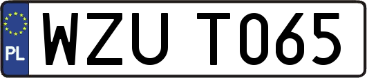 WZUT065
