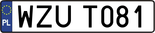 WZUT081