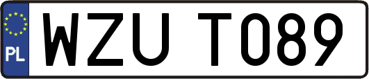 WZUT089