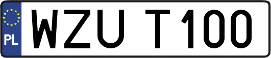 WZUT100