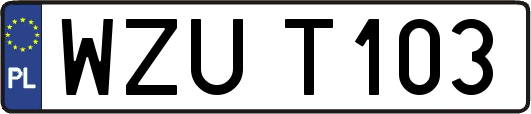 WZUT103