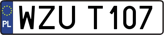 WZUT107