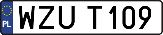 WZUT109