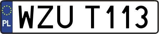 WZUT113