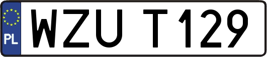 WZUT129
