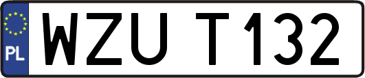 WZUT132