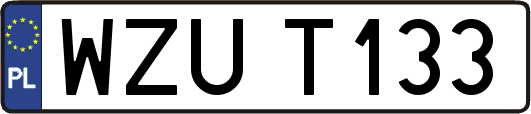 WZUT133