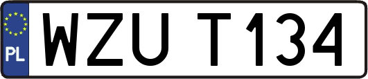 WZUT134
