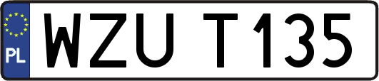 WZUT135