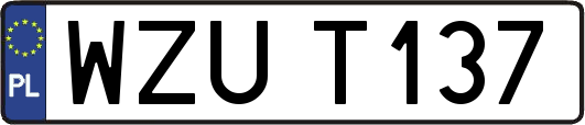 WZUT137