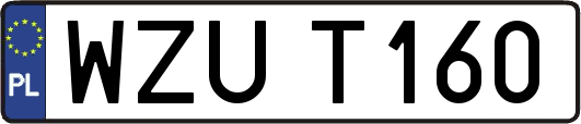 WZUT160