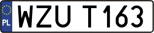 WZUT163