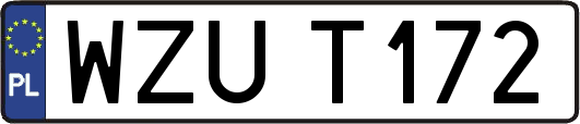 WZUT172